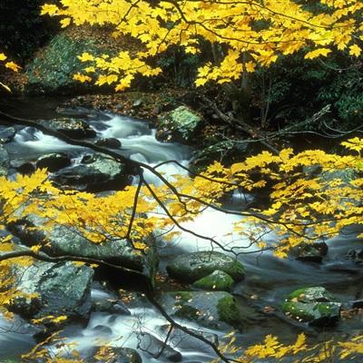 leyu乐鱼·体育手机app下载截图